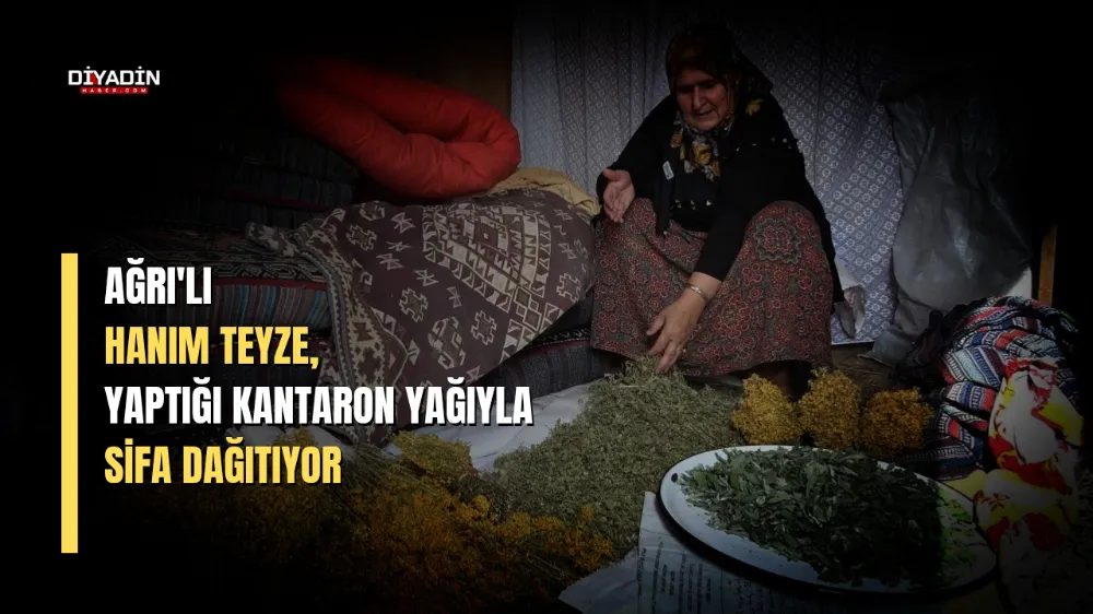 Ağrılı Hanım Teyze, Yaptığı Kantaron Yağıyla Şifa Dağıtıyor.