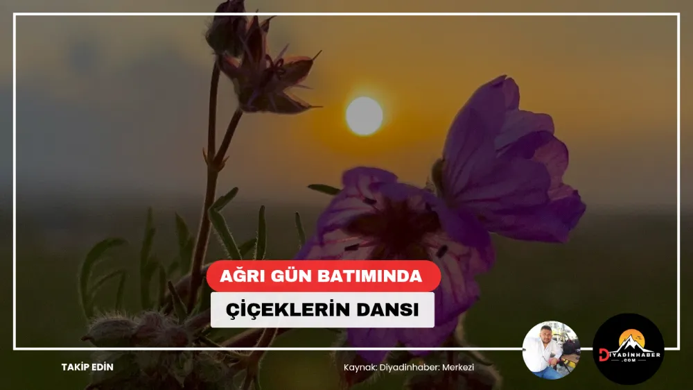 Ağrı Gün Batımında Çiçeklerin Dansı