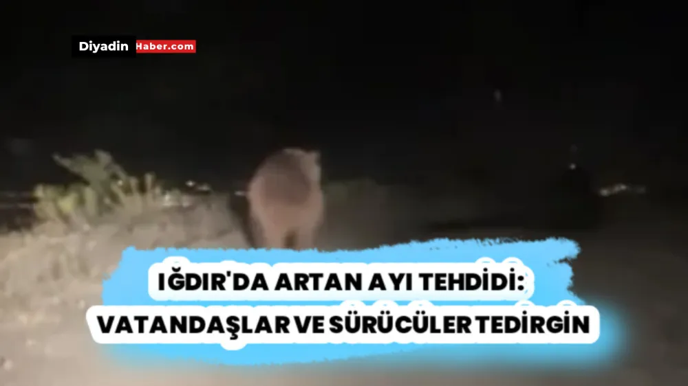 Iğdır’da Artan Ayı Tehdidi: Vatandaşlar ve Sürücüler Tedirgin
