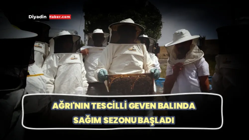 Ağrı’nın Tescilli Geven Balında Sağım Sezonu Başladı.