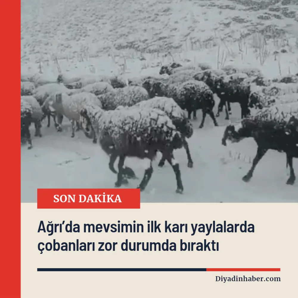 Ağrı’da mevsimin ilk karı yaylalarda çobanları zor durumda bıraktı.