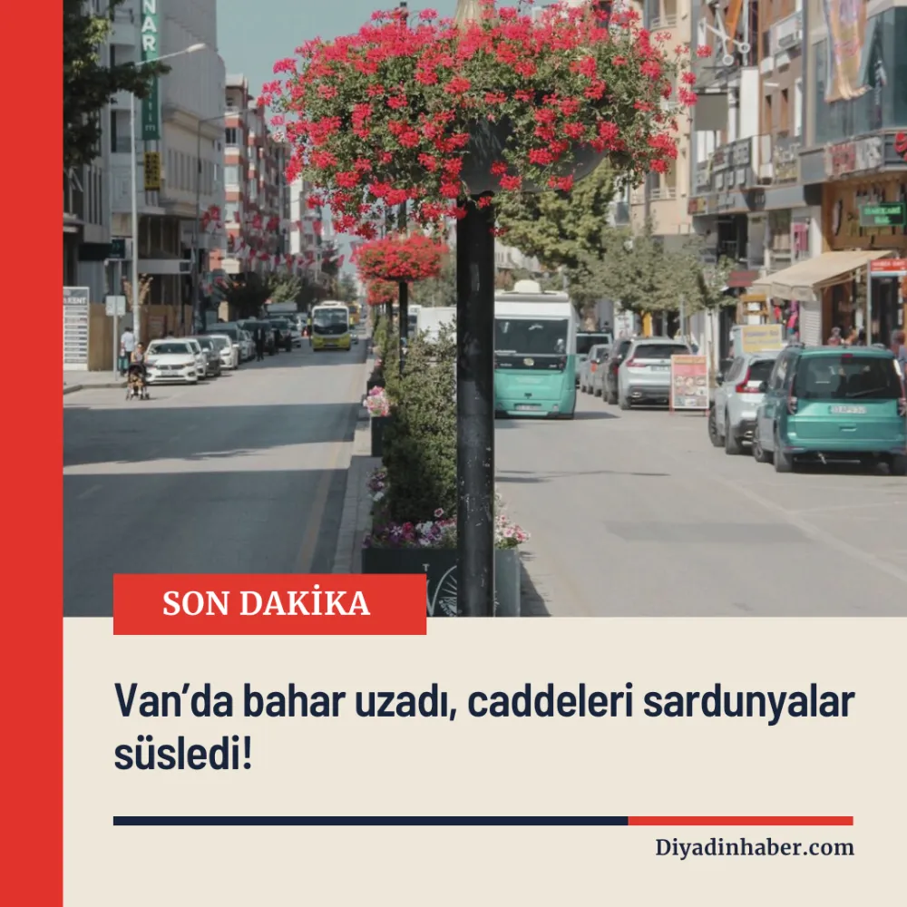 Van’da bahar uzadı, caddeleri sardunyalar süsledi! 