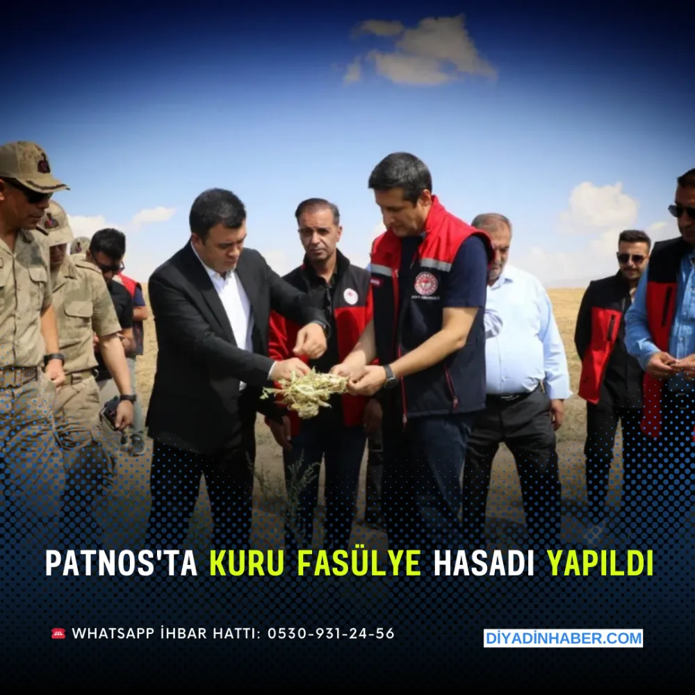 Patnos’ta kuru fasulye hasadı yapıldı.