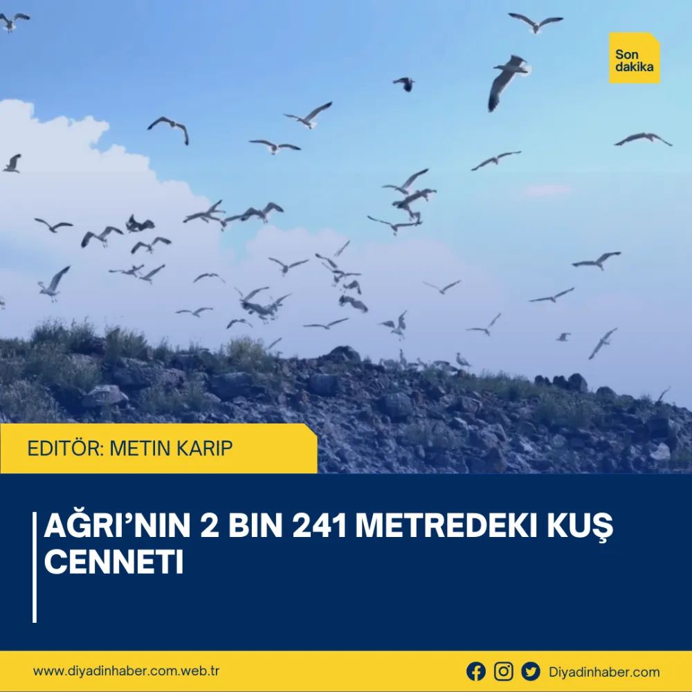 Ağrı’nın 2 Bin 241 Metredeki Kuş Cenneti