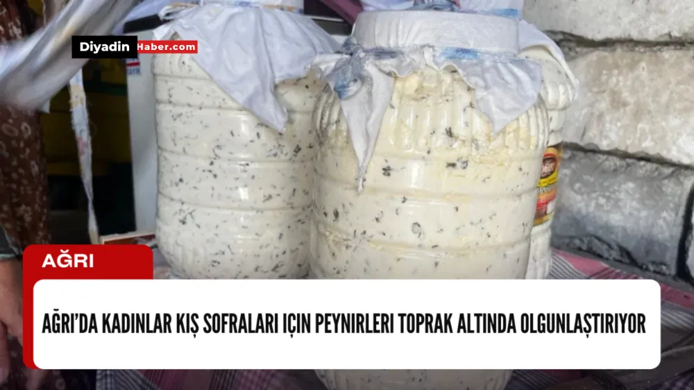 Ağrı’da kadınlar kış sofraları için peynirleri toprak altında olgunlaştırıyor